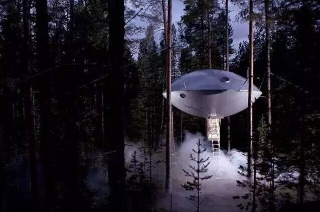 UFO树屋 瑞典.jpg