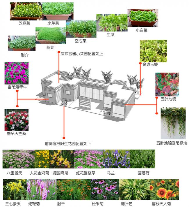 集装箱房屋.jpg